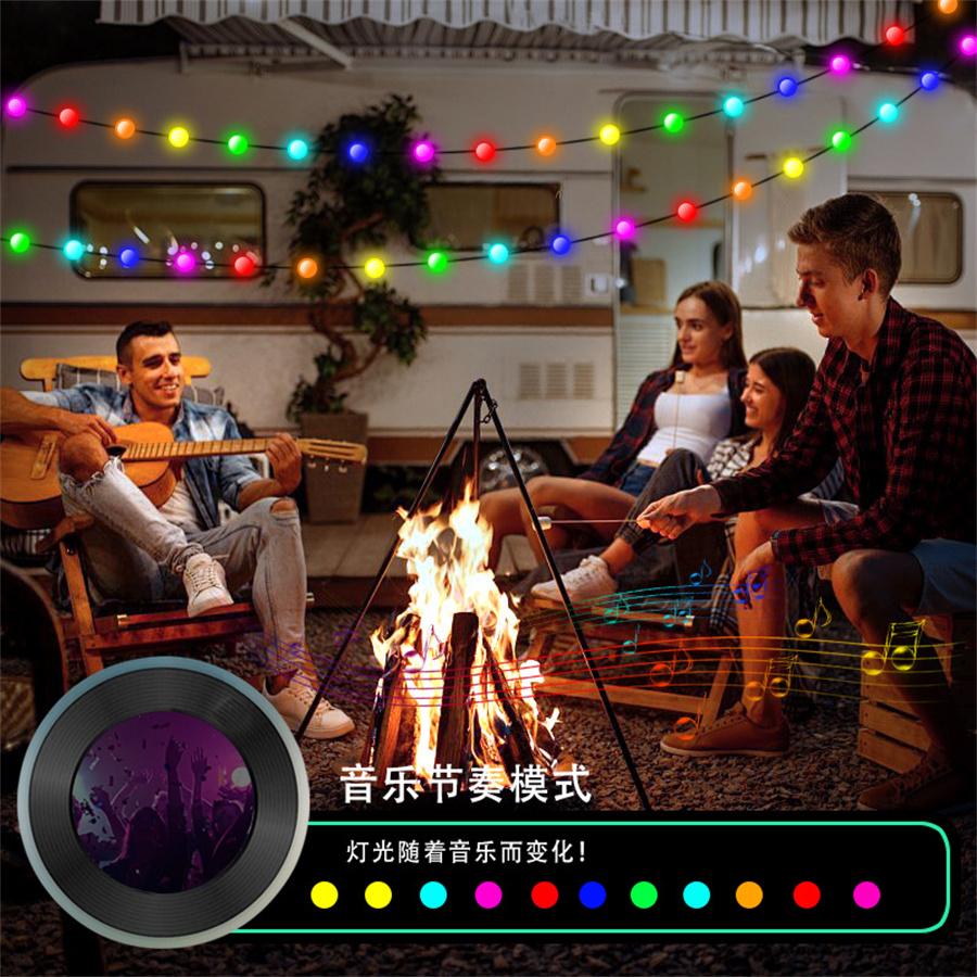 10M 100 LED Smart Globe String Lights RGB 16 Million Color Changing Starry Ball Fairy Light APP DIY Twinkle Fairy Lights
