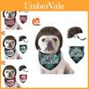 Îmbrăcăminte și încălțăminte – Accesorii pentru câini