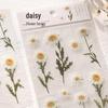 Mr. Paper PET Flower Series Plant Stickers for Journaling - Irregular Shape Decor, 6 Styles
