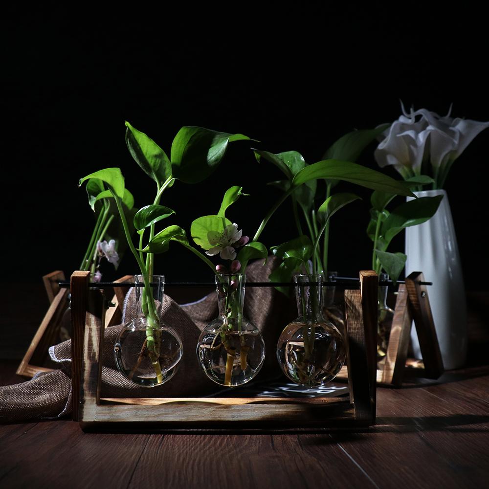 Vintage Glass Vase Transparent Hydroponic Plant Vase with with Wooden Stand for Tabletop Home Decor