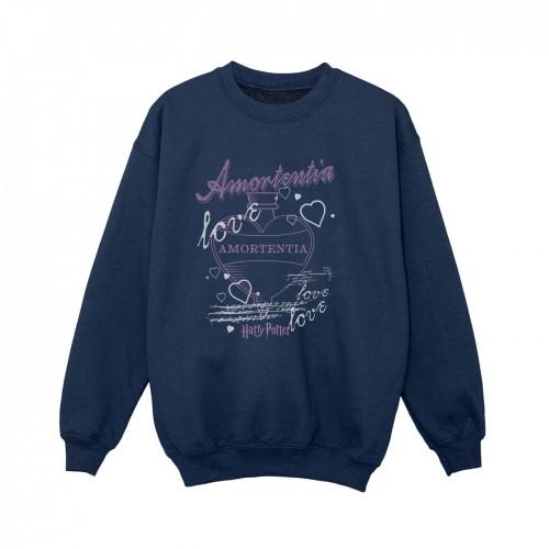 Harry Potter Boys Amortentia Potion Sweatshirt