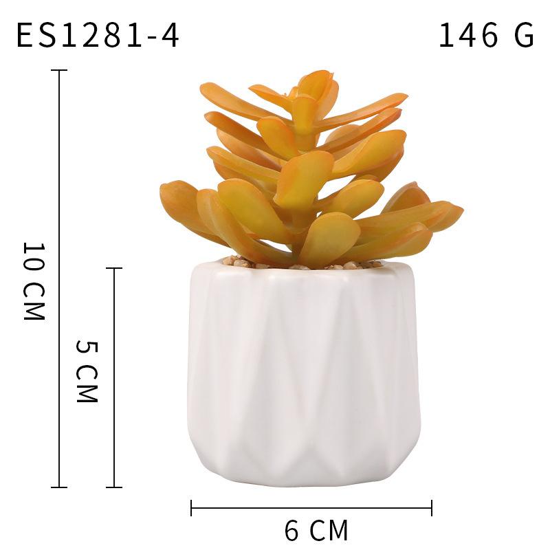 Small, Wavy Cup-Shaped Simulated Succulent Plant Potted Plant, Nordic Office Furniture Fresh Decoration