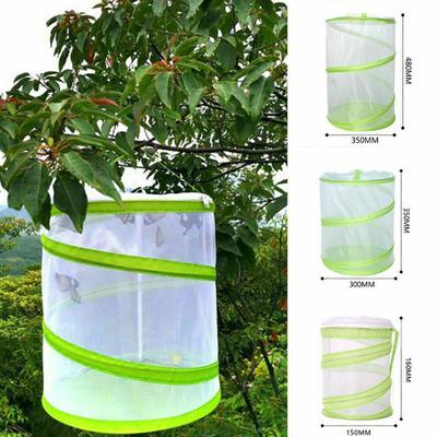 Outdoor Garden Mesh Praying Mantis Stick Insect Butterfly Pop-up Cage Enclosure