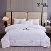 Winter Polyester Fiber Duvet