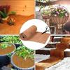 Non-Slip Reptile Carpet Mat Moisture-Proof Flower Pot Mat  Reptile Bedding Supplies