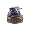 One Size – purple