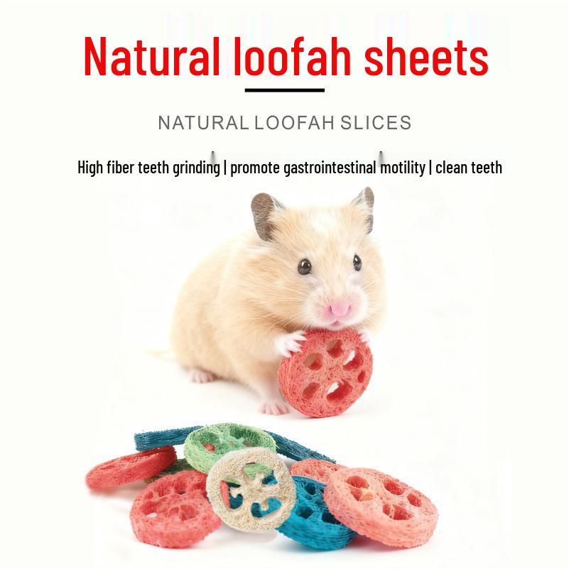 Loofah Catnip Teething Toy for Cats and Dogs - Durable, Odorless Chewing and Teasing Stick
