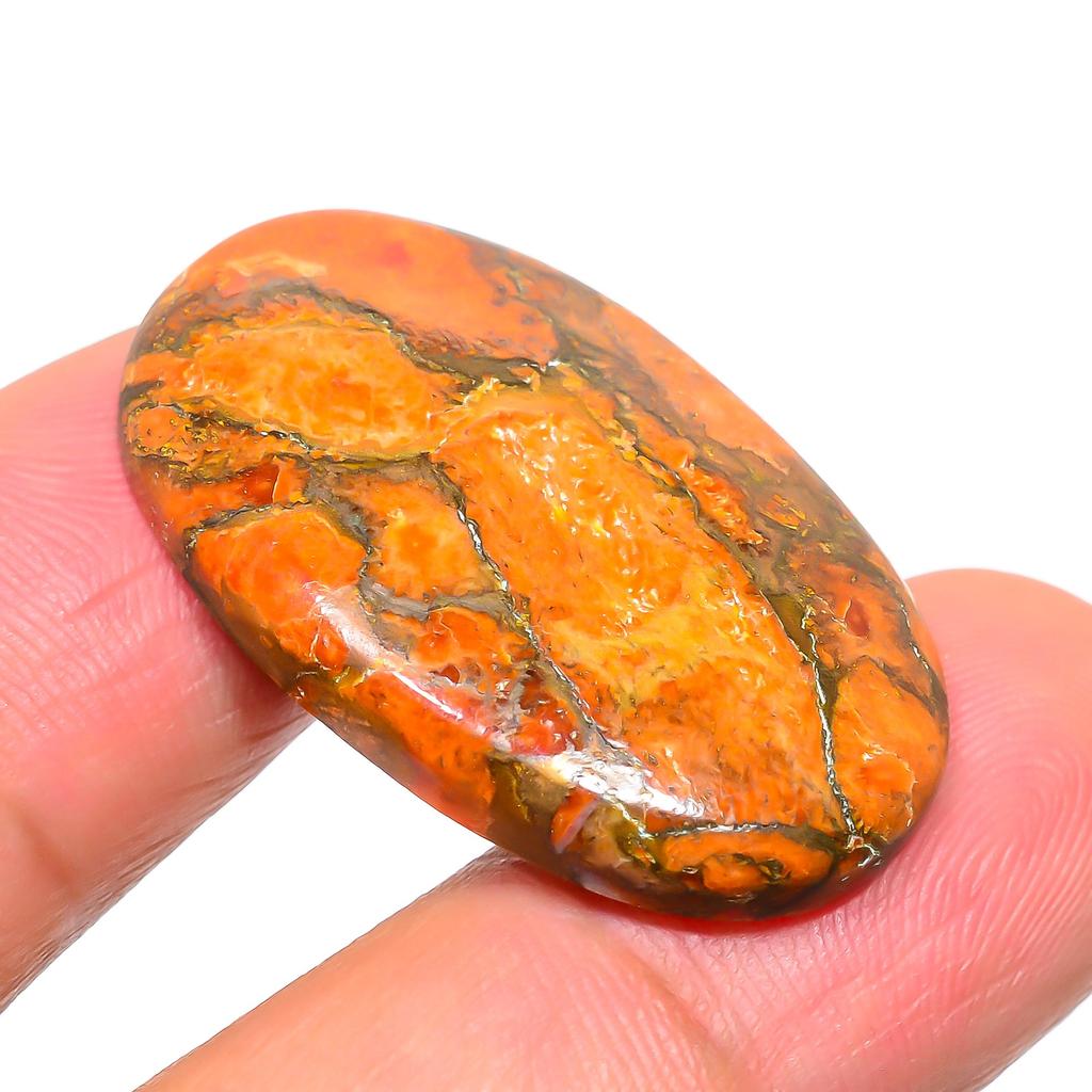 Fossil Coral 2x3.3mm Natural Cabochon Fine Loose Gemstone 25.2Cts.