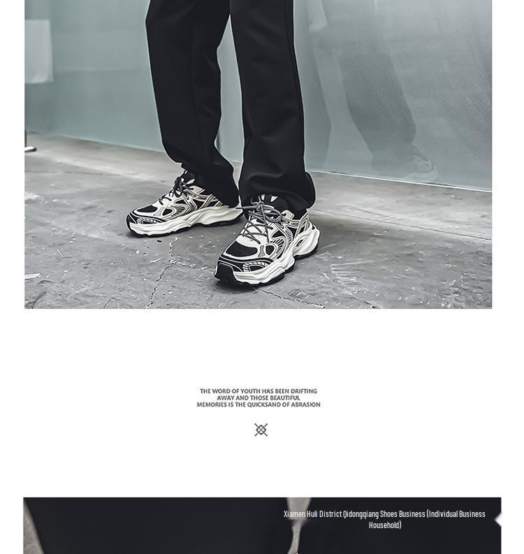 Putian Men's Autumn Mesh Breathable Non-Slip Casual High-End Dad Shoes