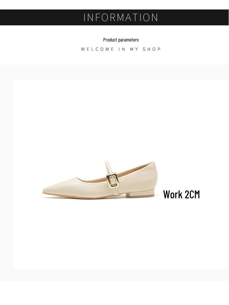 Fashionable French Pointed Toe Beige & Black Flat Shoes for Women