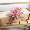 1 Pc Artificial Simulation Flower Head Mini Flocked Lotus Succulent Plant DIY Landscape Home Garden Decoration