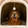 Katzenbett für den Innenbereich Höhlenbetten Weiches Katzenhaus Katzenzelt mit abnehmbarem waschbarem gepolstertem Kissen Möbel für mittelgroße Haustiere Hunde Katzen