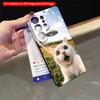 2DFlat Samsung phone case Surprised White Cat Meets UFO in Sunny Field Applicable to Galaxy S22 S23 S24 S25ULTRA S26 A12 A13 A14 A15 A16