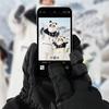 Waterproof ski gloves with touchscreen for Finger Style phones, size M, black