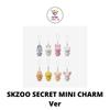 SKZOO SECRET MINI CHARM Ver STAY In Our Little House MD