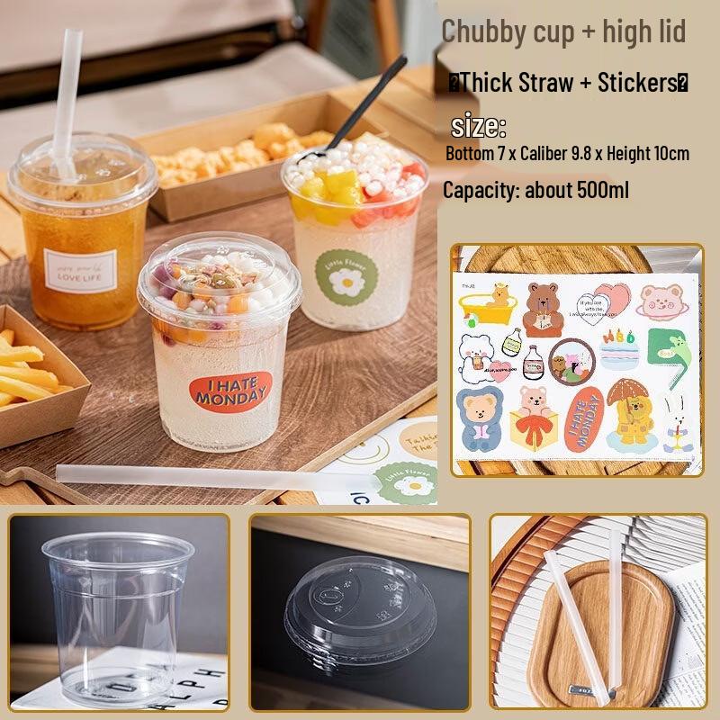 Disposable 500ml Takeaway Dessert Cup Set with Lid and Straw (20 Sets)