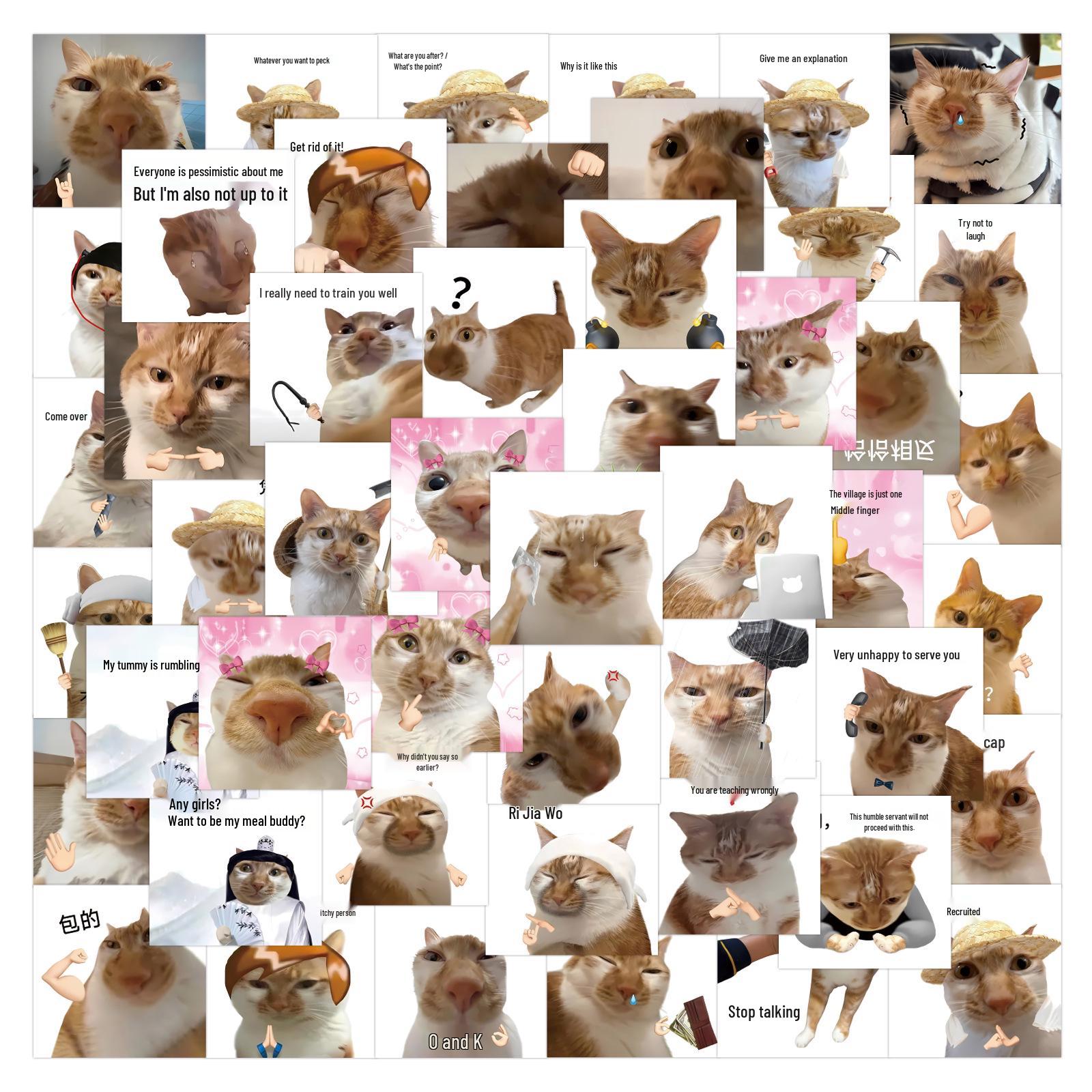 

80PCS Fun Fish-shaped Cat Emoticon Stickers for Planner, Desktop, Laptop