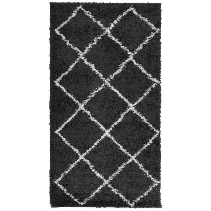 VidaXL Tapis Shaggy à Poils Longs, Moquette de Sol, Tapis de Zone, Carpette de Salon Salle de Séjour Chambre, Moderne, Noir 375404