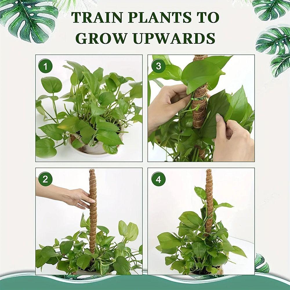 1Pcs Coconut Shell Moss Palm Cane Coir Totem Poles Stretch Bendable Plant Climbing Frame Gardening Coconut Rod 60/110cm