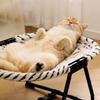 Cat Bed Hammock, Free-Standing Elevated Dog Cot for Indoors and Outdoors,Foldable No-Assembly Pet Bed with Breathable Mesh,Lightweight Raised Pet Cot