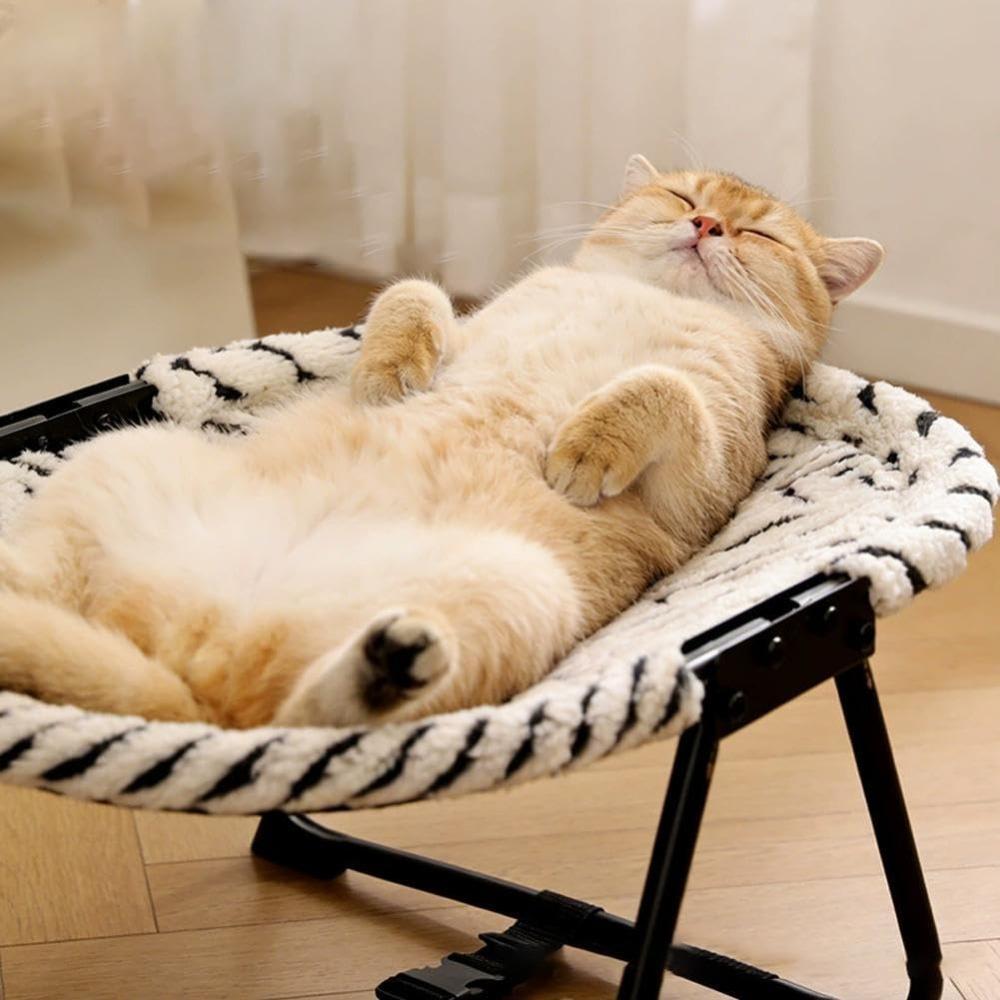 Cat Bed Hammock, Free-Standing Elevated Dog Cot for Indoors and Outdoors,Foldable No-Assembly Pet Bed with Breathable Mesh,Lightweight Raised Pet Cot