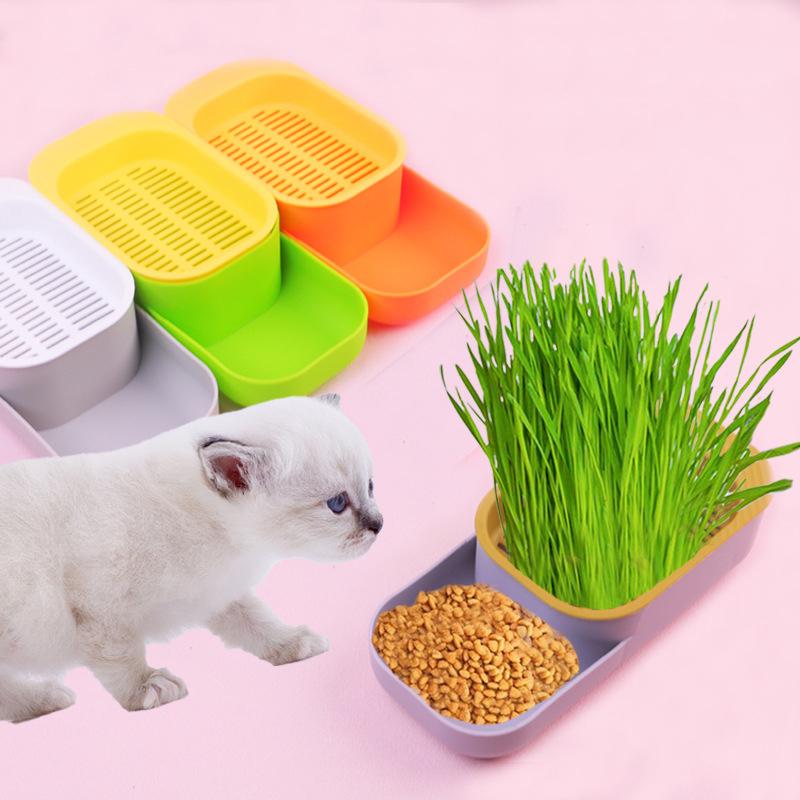 New cat grass box soil-free hydroponic cat grass planting potted wheat seeds digestible cat food bowl set