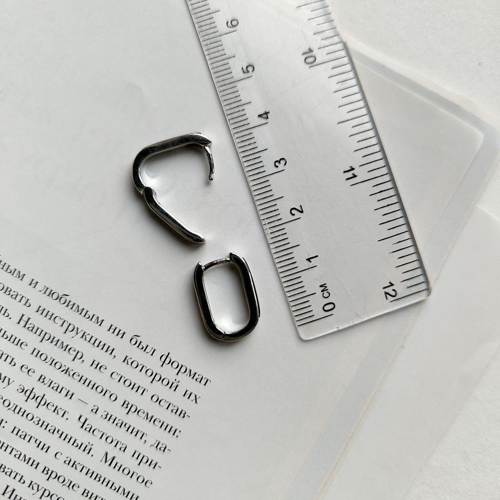 Silver Earrings with Enamel (2174943)