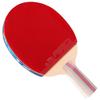 DHS 3-Star F3008 Straight Handle Table Tennis Racket
