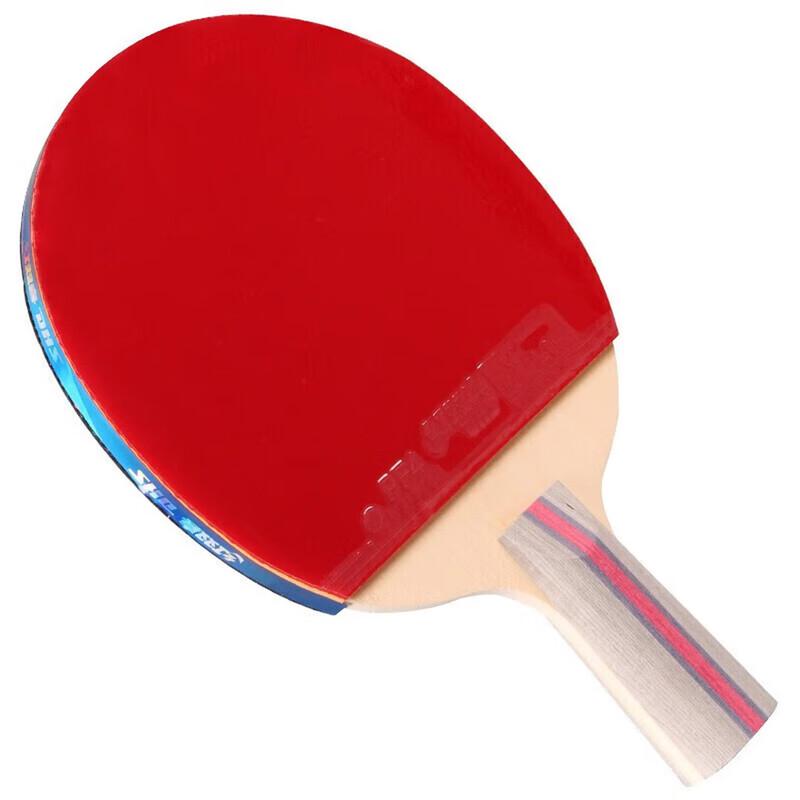 DHS 3-Star F3008 Straight Handle Table Tennis Racket