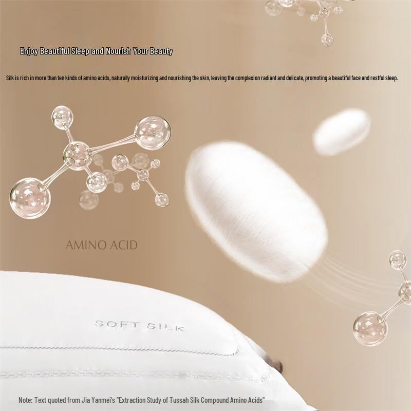 Mercury Home Textiles Class A Antibacterial Silk Pillow (Pair)