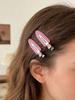 Dior 2 Pièces Pince à Cheveux Transparente Rose avec Logo Barrettes Alligator en Métal Mode Accessoires Cheveux pour Femmes Franges Décor Quotidien