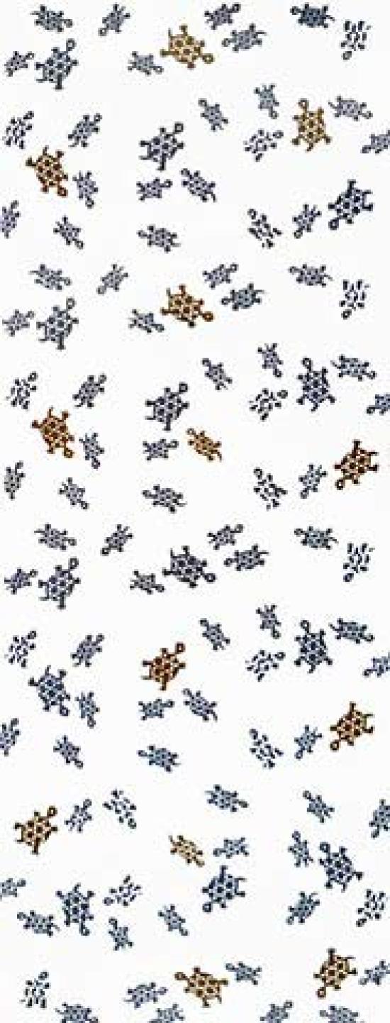 

Todaya Shoten Tenugui 603 Nashien-zome (Turtle) (White) білий