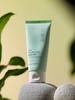Centella Asiatica Clear Mud Mask 100ml