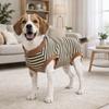 Striped Dog Sterilization Suit Warm Dog Four Legged Vest Fleece Anti-Licking Vest  Belly Protection