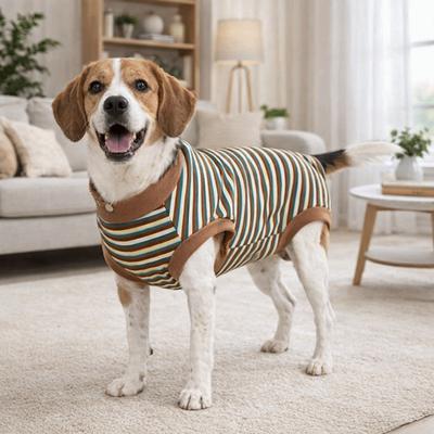 Ropa y calzado – Chalecos y camisas para perros