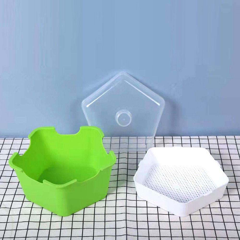 Horticultural Tool Sprouts Growing Tray Convenient Sprout Planting Helper Sprouting Tray Multi functional Reusable