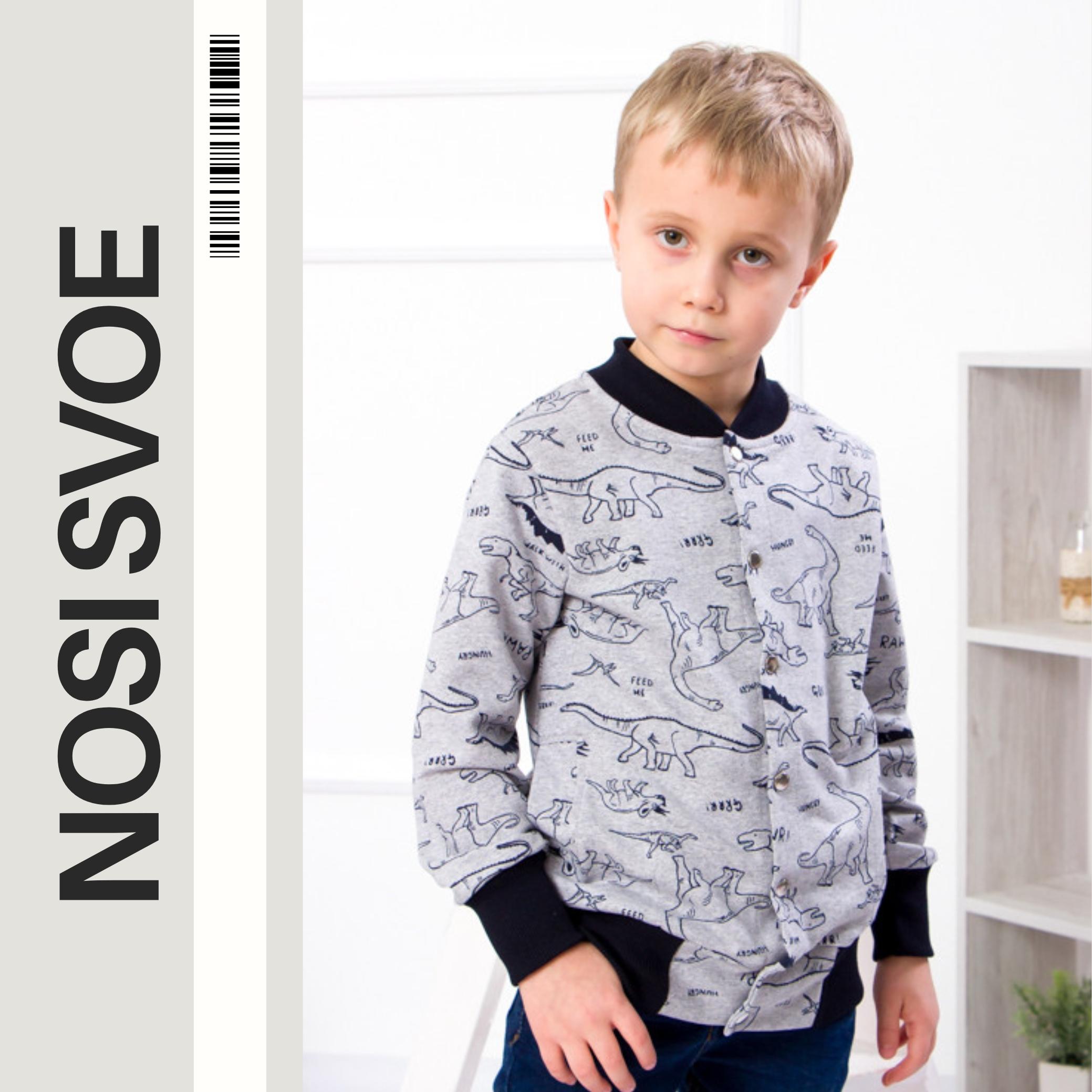 

Sweatshirt (boys) , Any season , Nosi svoe , 6029-055-4-1 140 срібний
