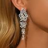 Niche Design Super Flash Crystal Full Diamond Fringed Earrings Long Temperament Earrings Thin Dinner Earrings