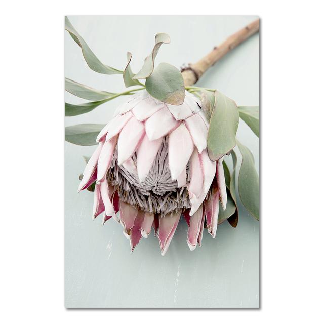 

Protea King Flower Plant Picture Botanical Art Poster Nordic Floral Wall Art Друк на полотні Картина Сучасне оформлення вітальні без рамки 40*50cm