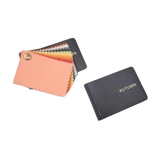 

Персональный образец цвета AIS (Осень 1 книга)