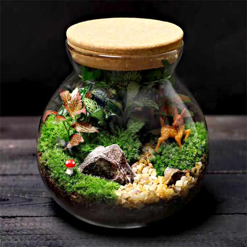 Micro Landscape Glass Bottles with Cork Lid Glass Vase Bryophyte Moss Plant Container Glass Terrarium Bonsai Desktop Decoration