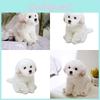 Entzückendes weißes Malteser Plüschtier, mit Fasern gefüllt, langhaariges Stofftier, 33x24x16cm/38x26x21cm