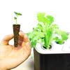 Hydroponic Growing & Transplanting Sponges for Soilless Cultivation, Seedling Blocks & Baskets