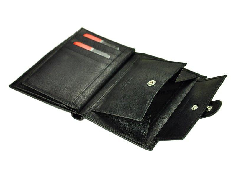 Skórzany męski portfel Pierre Cardin SAHARA TILAK15 331A