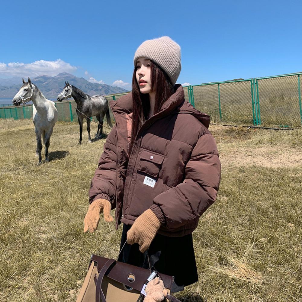 Short slim 2025 new winter stand-up collar hooded down cotton jacket thickened warm solid color bread jacket