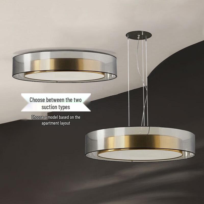OEING Modern Luxury Nordic Ceiling Light