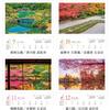 Photo Studio Calendar Garden of Peace 2026 Landscape Calendar Holder Includes 12 Smartphone Wallpapers Wall-Mounted [Clear Included, 300x420]