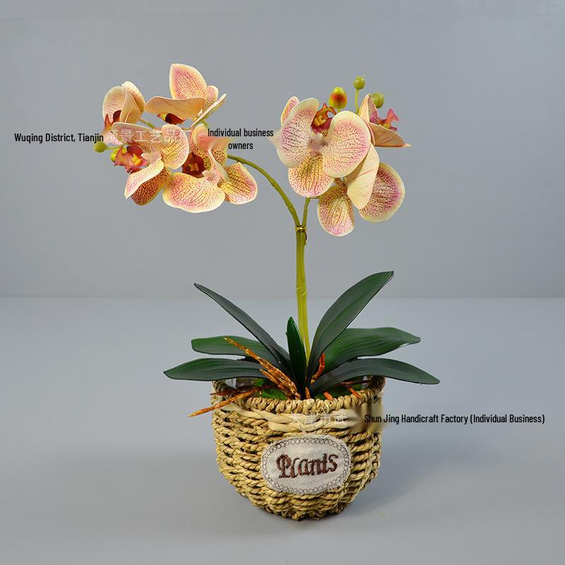 Artificial Phalaenopsis Leaf for Bonsai and Flower Arrangement Décor
