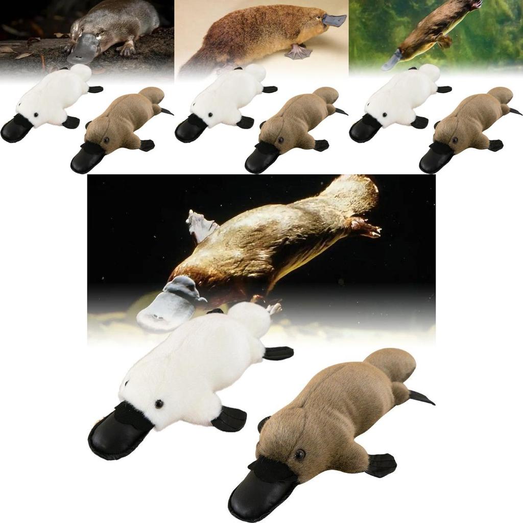 Soft And Cuddly Platypus Plush Toy For Kids Ideal Comforting Buddy And Car Decor