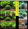 ST TS Moss Balls, Moss Domes, Willow Moss, Aquatic Plants, Moss Mats, Plant Holders, Plant Cultivation (5)